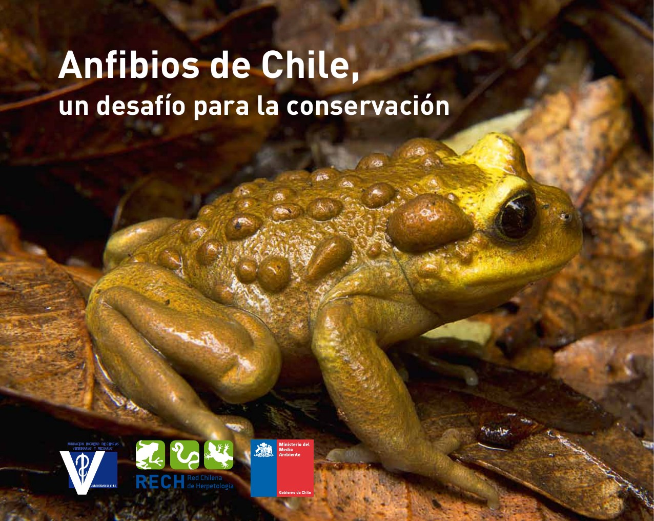 Portada de Anfibios de Chile, un desafío para la conservación