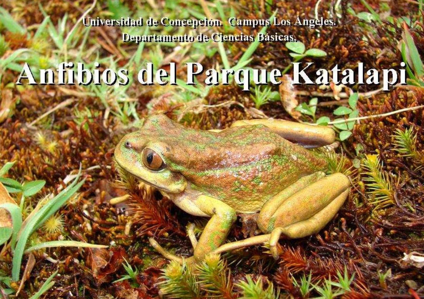 Portada de Anfibios del Parque Katalapi