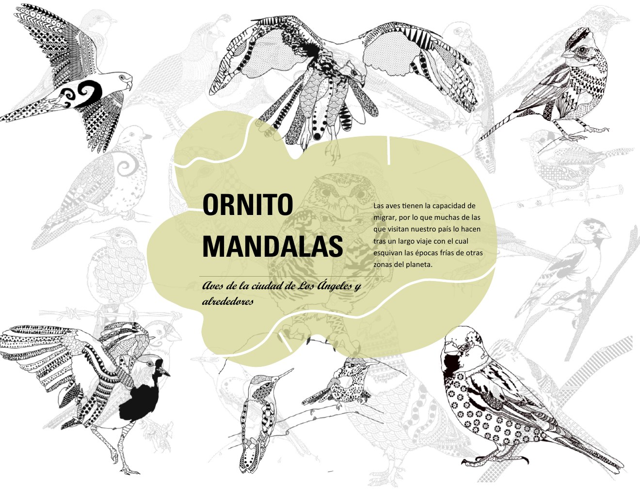 Portada de Ornitomandalas: Aves de la ciudad de Los Ángeles y alrededores