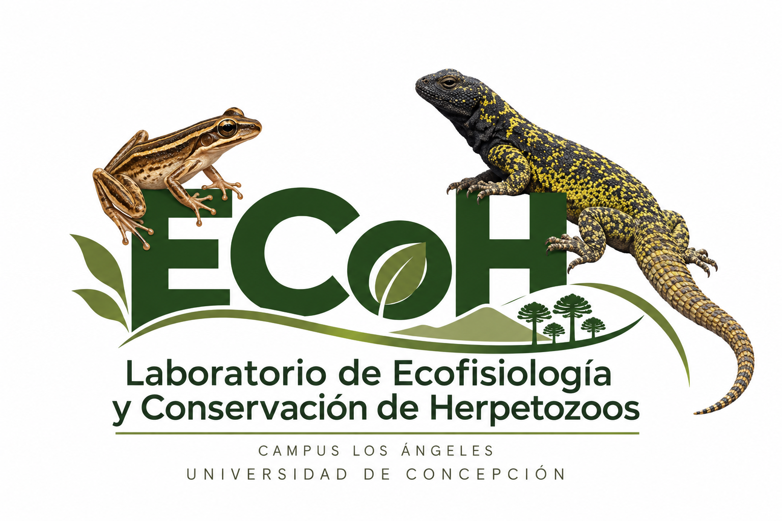 Logo ECoH